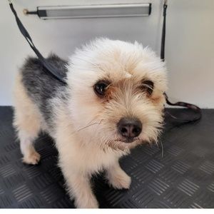 Meet your Posher, Ann